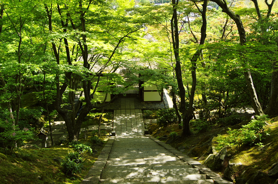 IMGP3438.jpg(657794 byte)