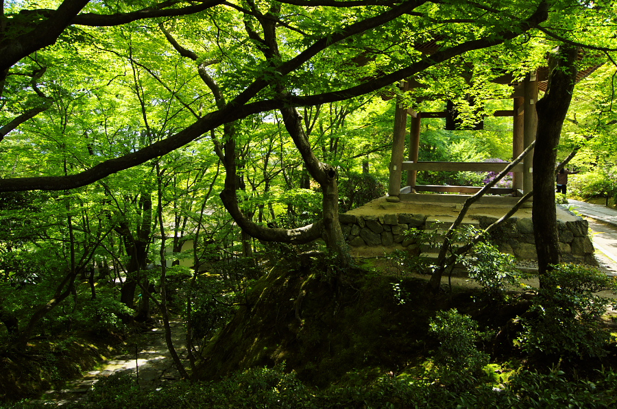 IMGP3440.jpg(651516 byte)