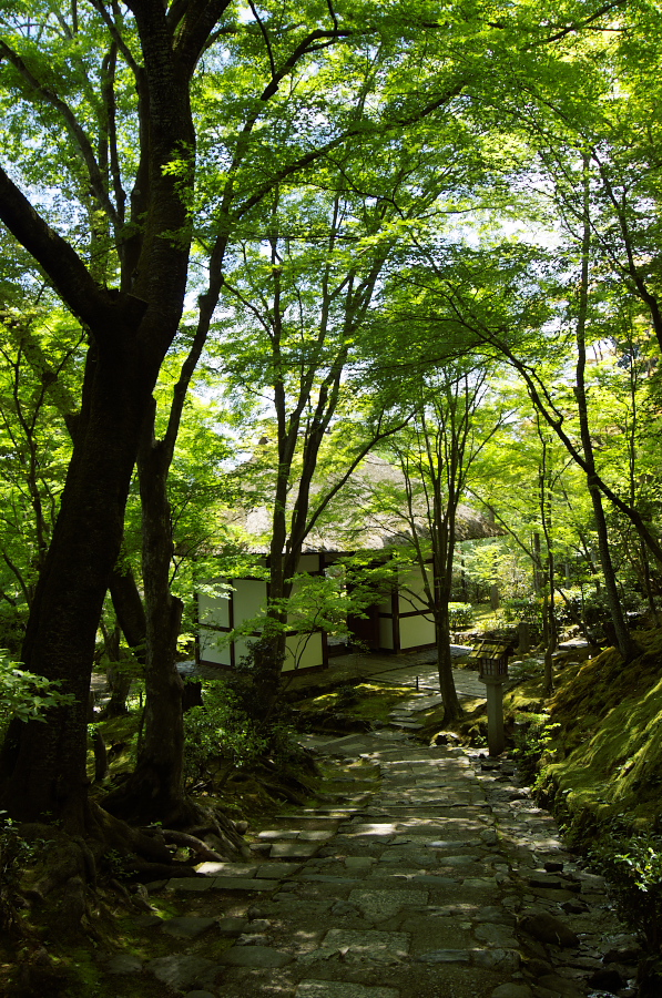 IMGP3444.jpg(622010 byte)