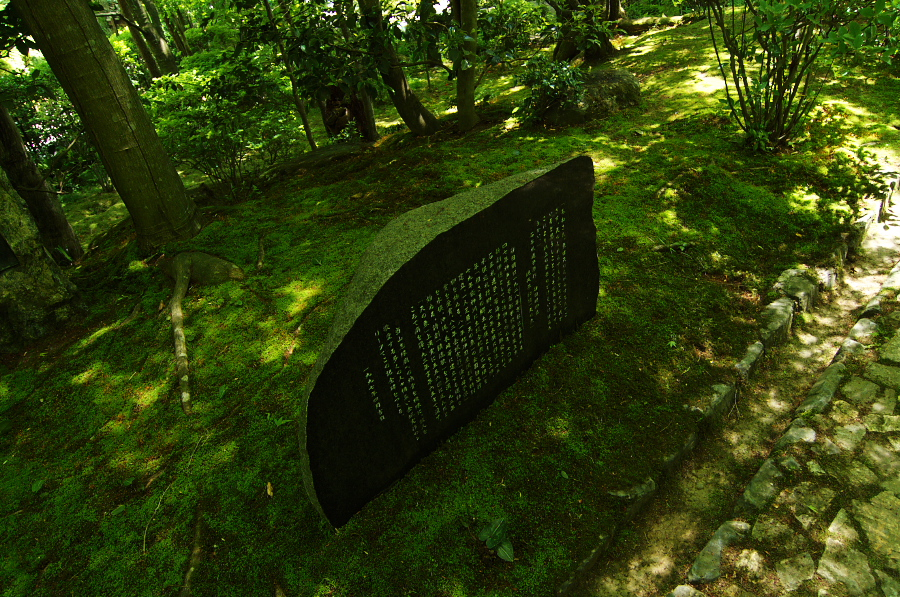 IMGP3450.jpg(588685 byte)