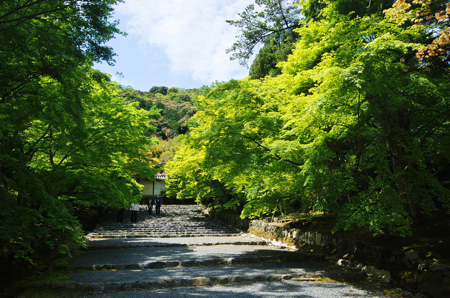 IMGP3457.jpg(572747 byte)