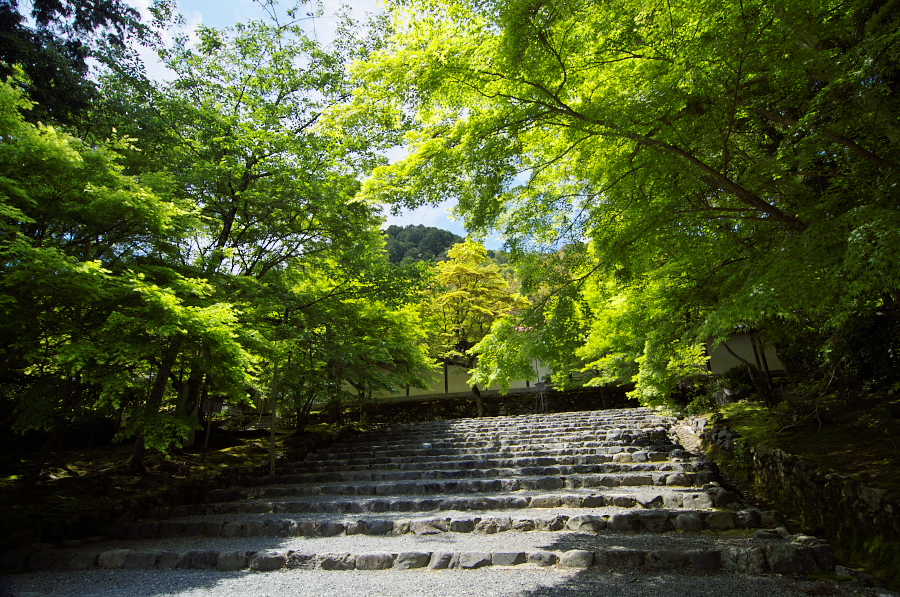 IMGP3459.jpg(605131 byte)