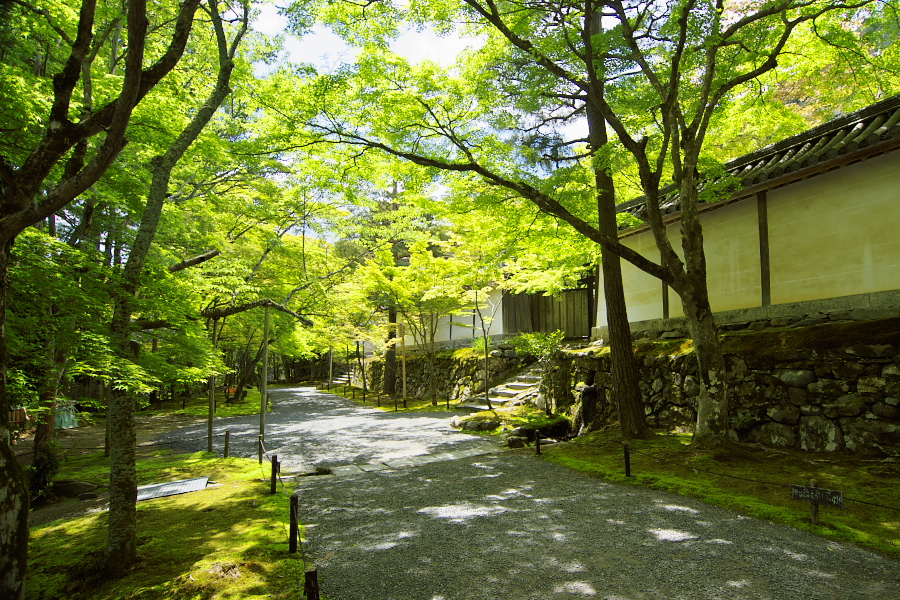 IMGP3461.jpg(622610 byte)