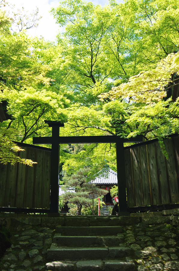 IMGP3464.jpg(569647 byte)