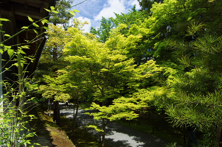 IMGP3465.jpg(617684 byte)