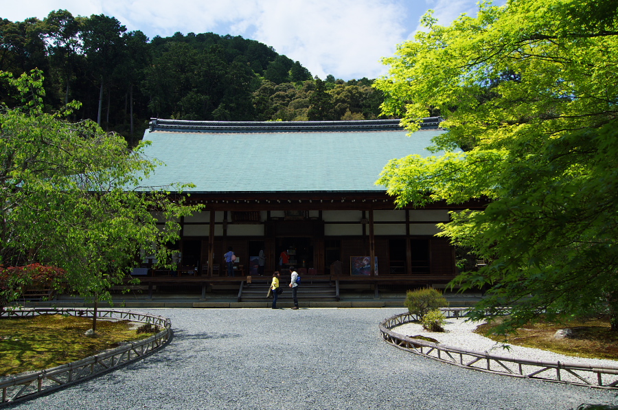 IMGP3468.jpg(522080 byte)