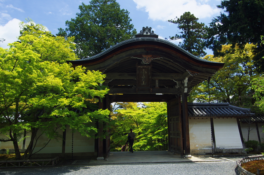 IMGP3469.jpg(489648 byte)