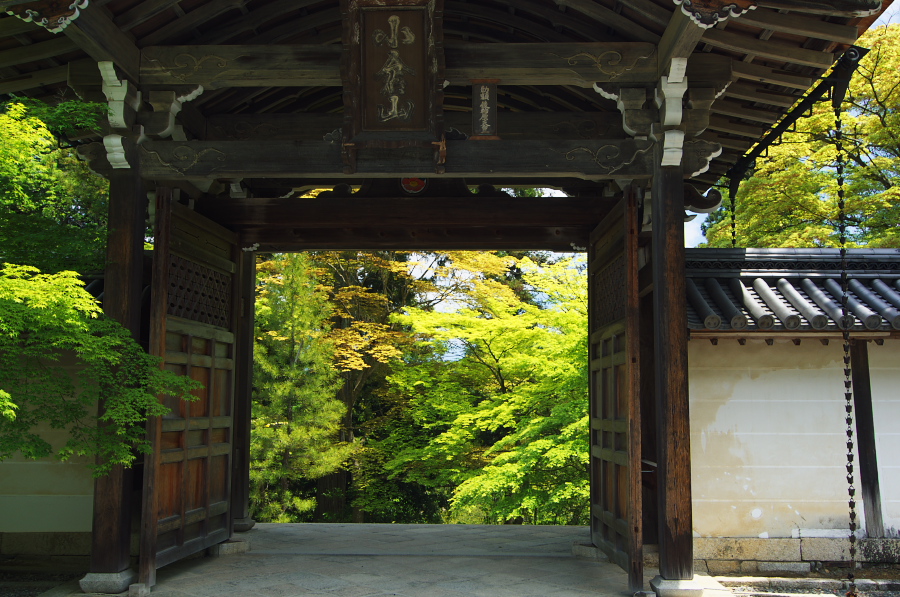 IMGP3481.jpg(415279 byte)