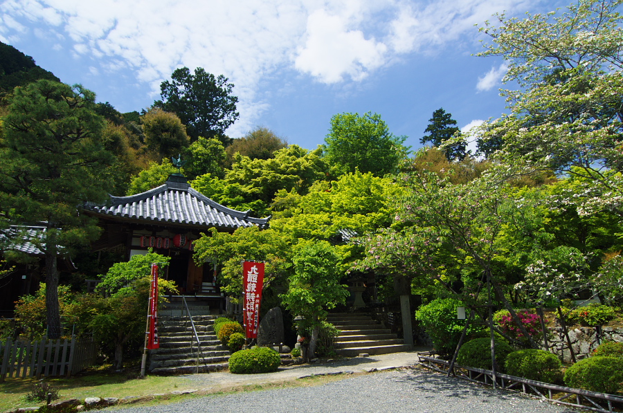 IMGP3487.jpg(549078 byte)