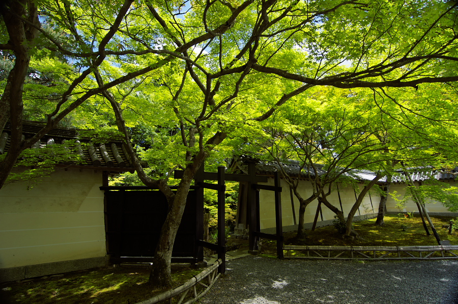 IMGP3489.jpg(587642 byte)