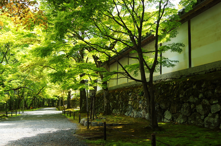 IMGP3501.jpg(596602 byte)