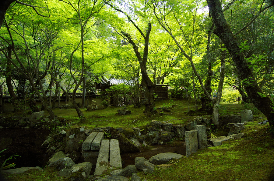 IMGP3530.jpg(617222 byte)