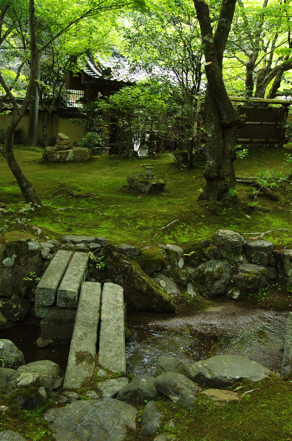 IMGP3531.jpg(582872 byte)