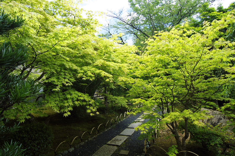 IMGP3541.jpg(632939 byte)