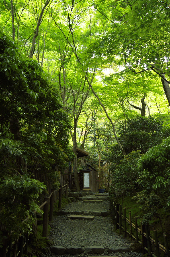 IMGP3544.jpg(596434 byte)