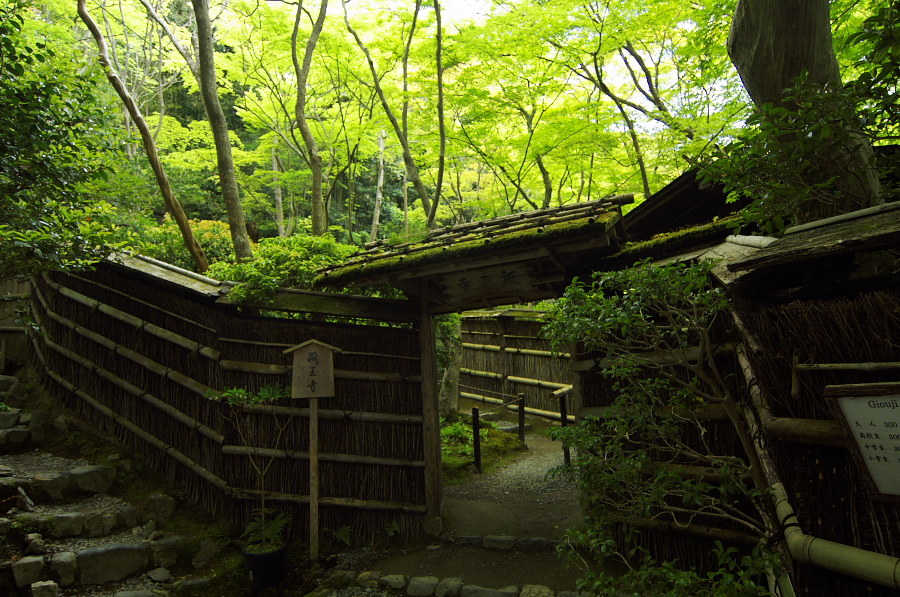 IMGP3547.jpg(497995 byte)