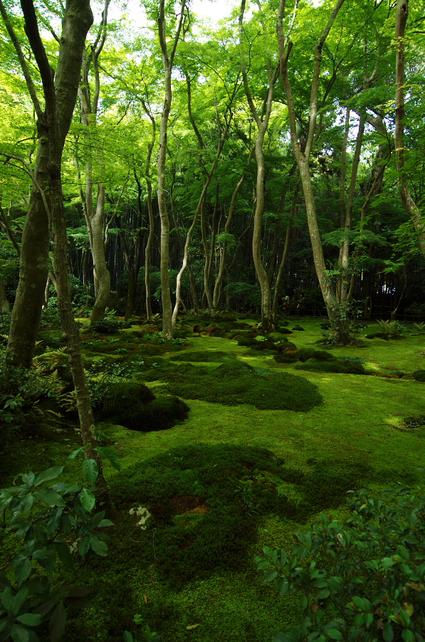 IMGP3550.jpg(565425 byte)