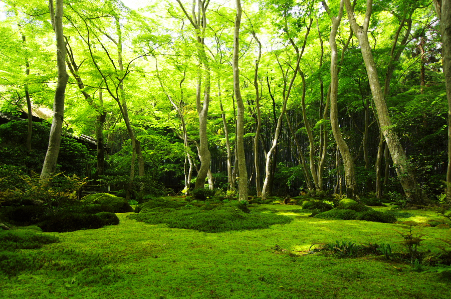 IMGP3555.jpg(669054 byte)