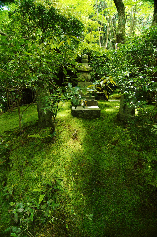 IMGP3558.jpg(683842 byte)