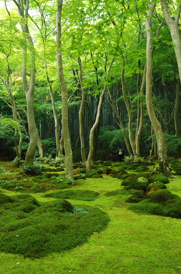 IMGP3563.jpg(610736 byte)