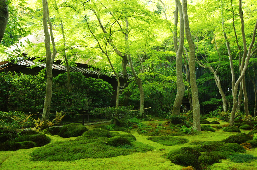 IMGP3567.jpg(628197 byte)