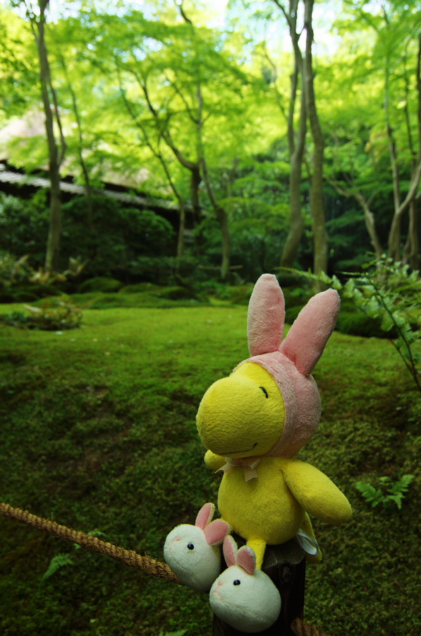 IMGP3569.jpg(359922 byte)