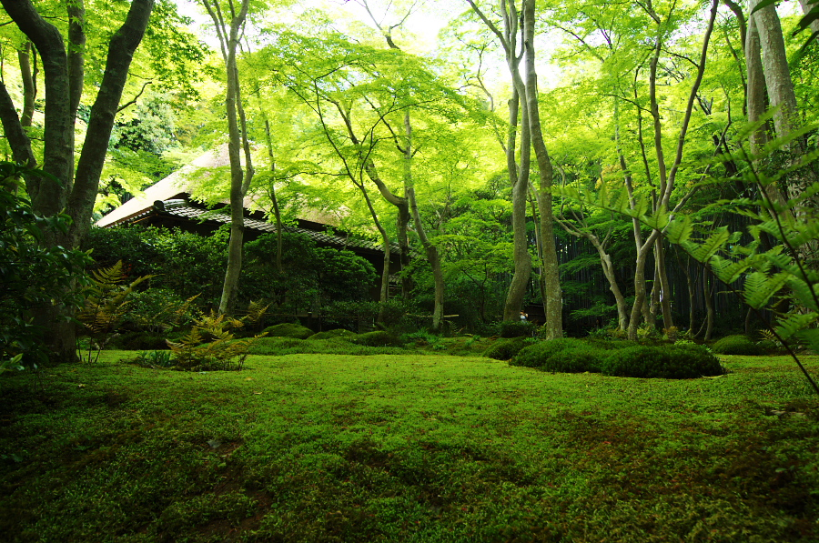 IMGP3571.jpg(620022 byte)