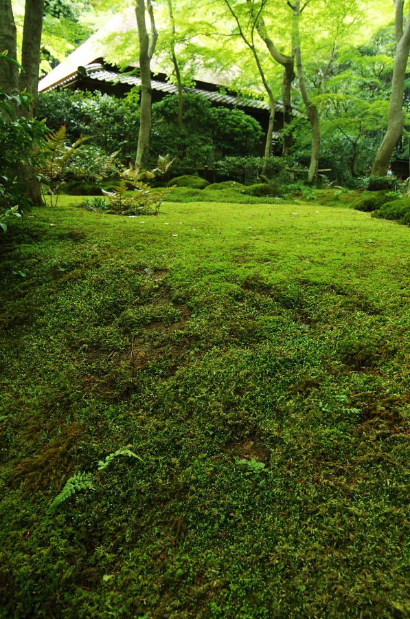 IMGP3573.jpg(640729 byte)