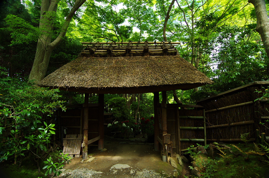 IMGP3578.jpg(589656 byte)