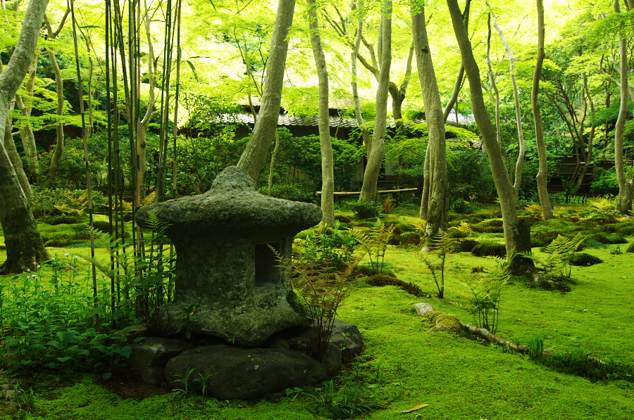 IMGP3595.jpg(622429 byte)