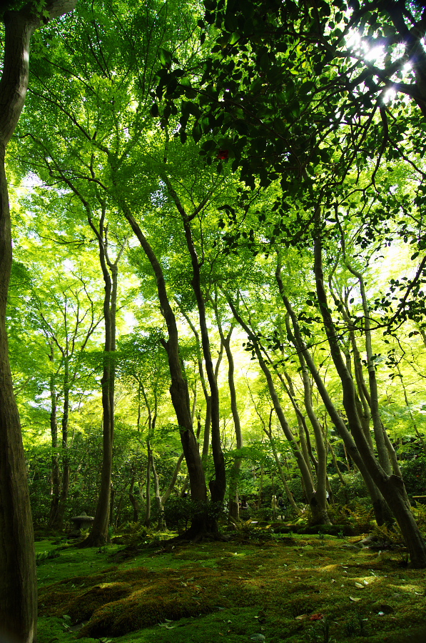 IMGP3608.jpg(697038 byte)