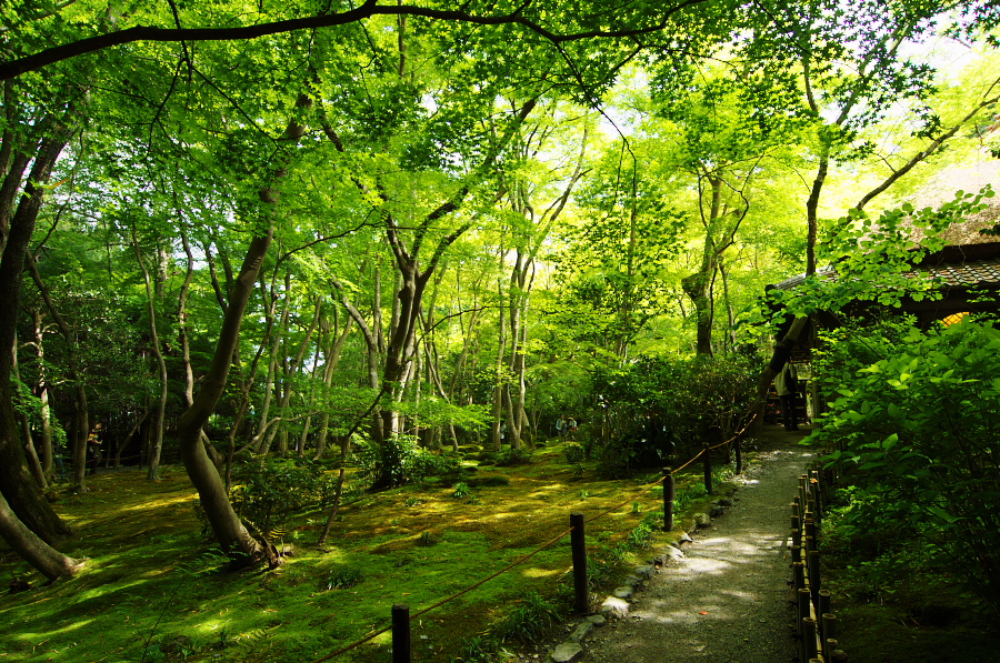 IMGP3617.jpg(697495 byte)