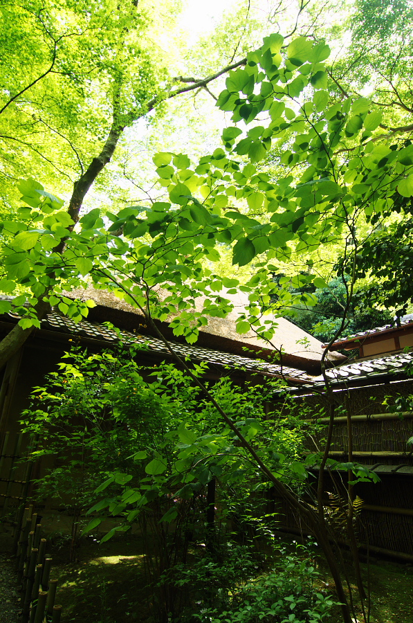 IMGP3618.jpg(634349 byte)