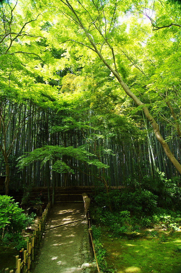 IMGP3624.jpg(676062 byte)