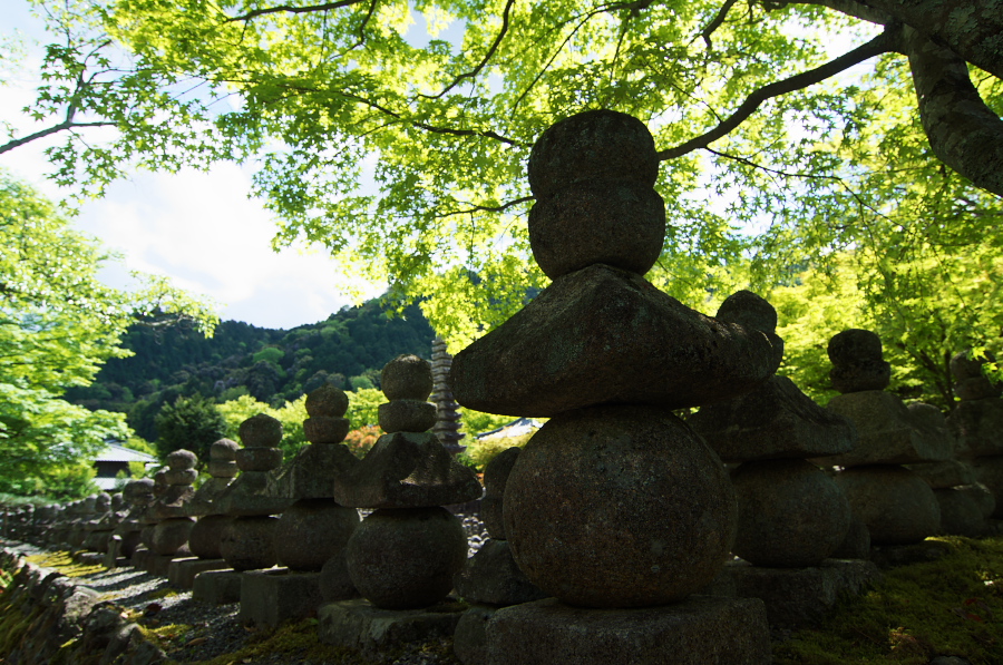 IMGP3641.jpg(494682 byte)