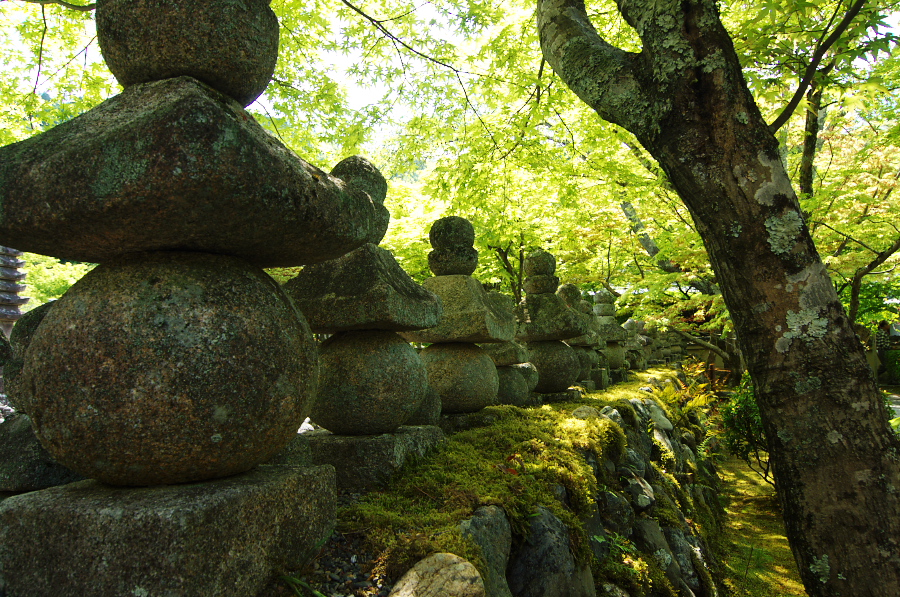 IMGP3642.jpg(579345 byte)