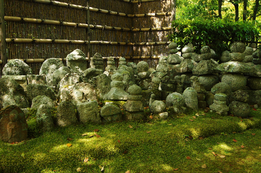 IMGP3647.jpg(624839 byte)