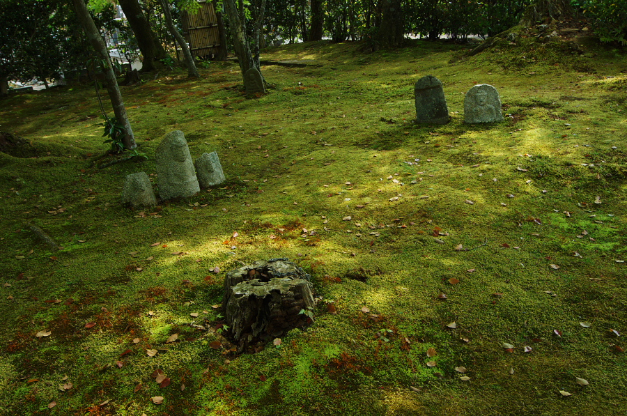 IMGP3649.jpg(611190 byte)