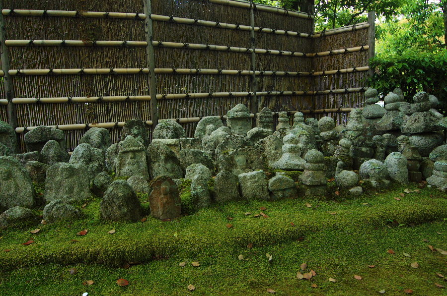 IMGP3651.jpg(594835 byte)