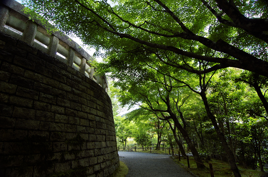 IMGP3655.jpg(555628 byte)