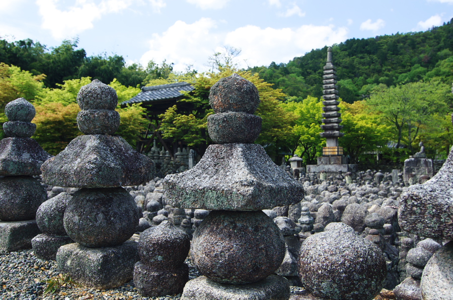 IMGP3661.jpg(485513 byte)