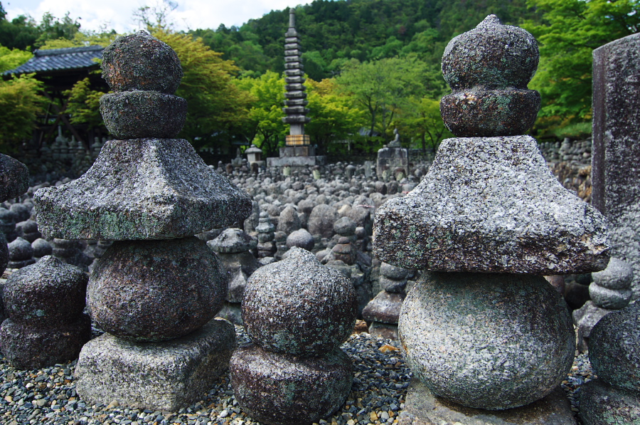 IMGP3663.jpg(557927 byte)