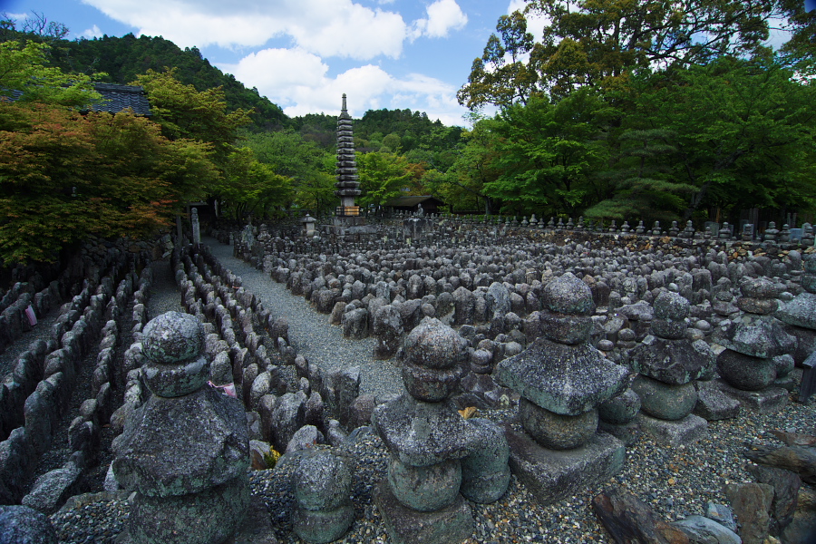 IMGP3664.jpg(533539 byte)