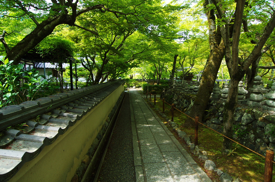 IMGP3670.jpg(586572 byte)