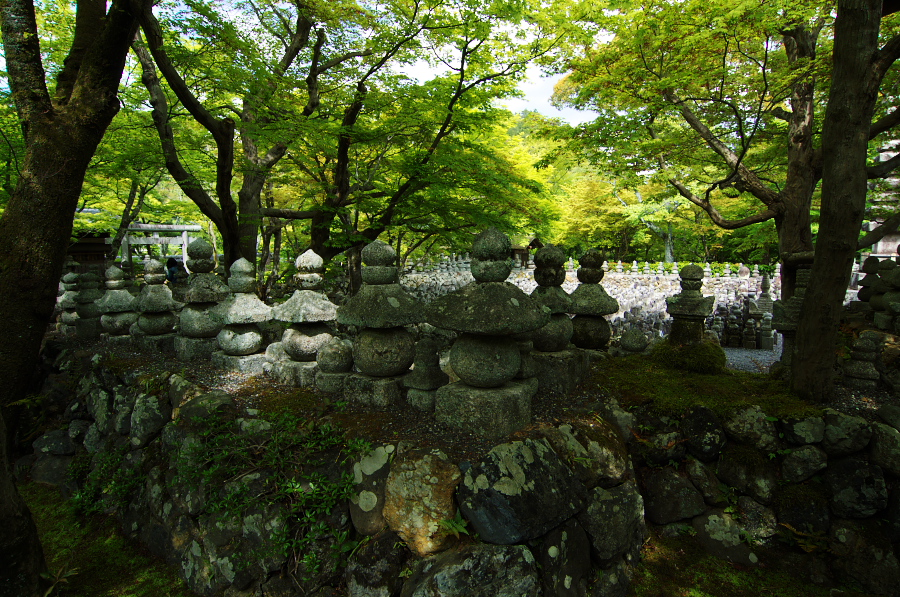 IMGP3671.jpg(565636 byte)