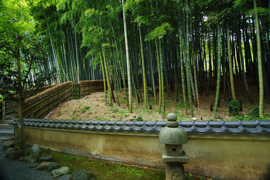 IMGP3672.jpg(564322 byte)