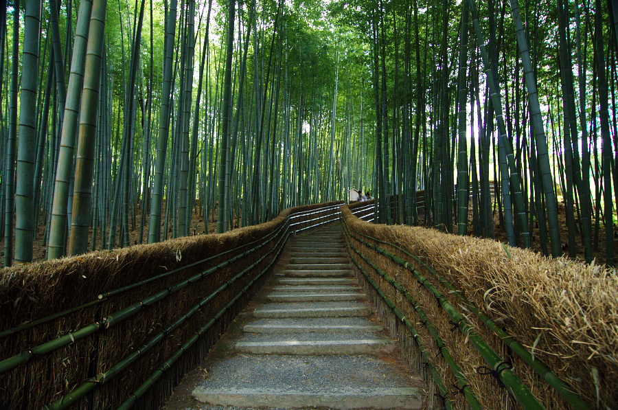 IMGP3680.jpg(570046 byte)