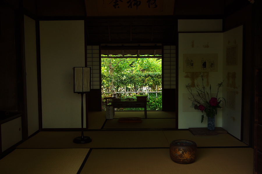 IMGP3685.jpg(200103 byte)