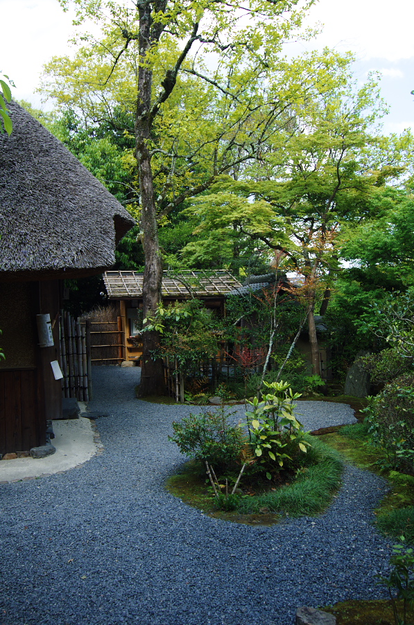 IMGP3697.jpg(590918 byte)