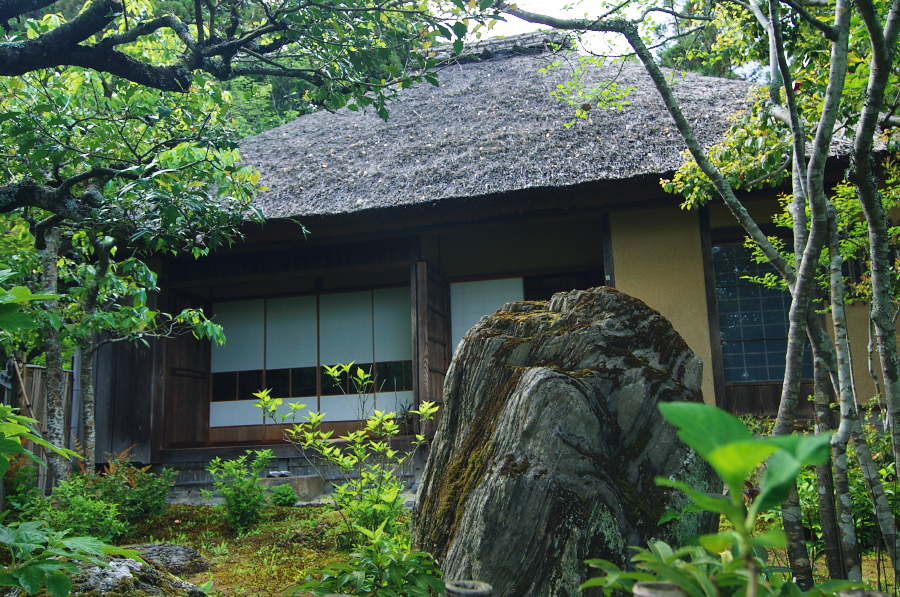 IMGP3698.jpg(552664 byte)